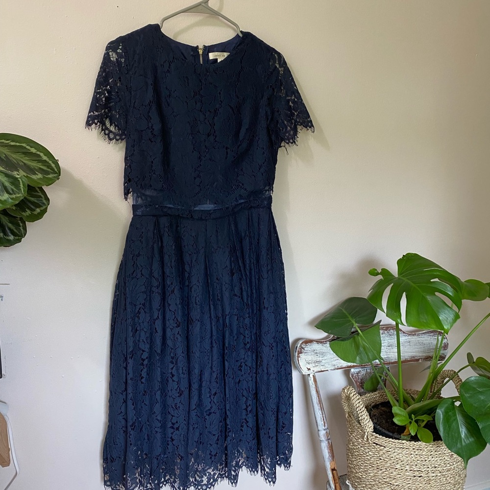 Lace Midi dress in Navy - Picture 2 of 8